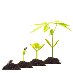 Perché cercare il cambiamento? Il KAIZEN e il cambiamento continuo